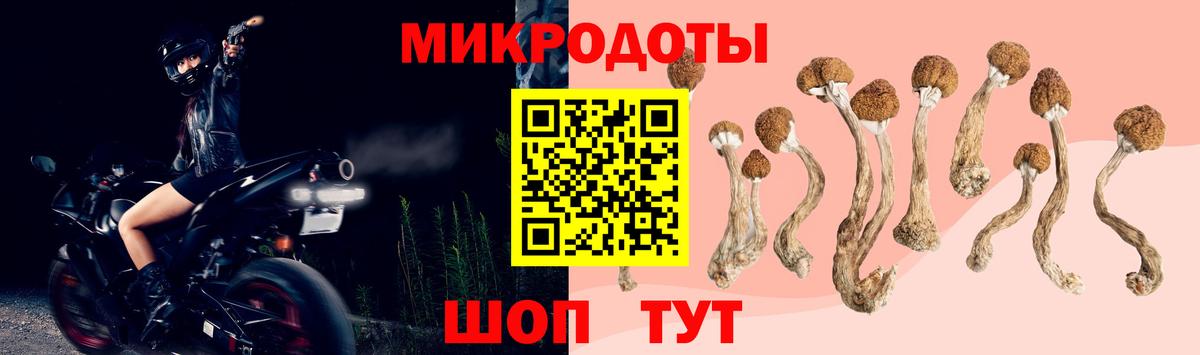 Псилоцибиновые грибы прущие грибы  Вход с VPN  Псилоцибиновые грибы прущие грибы  Белгород 
